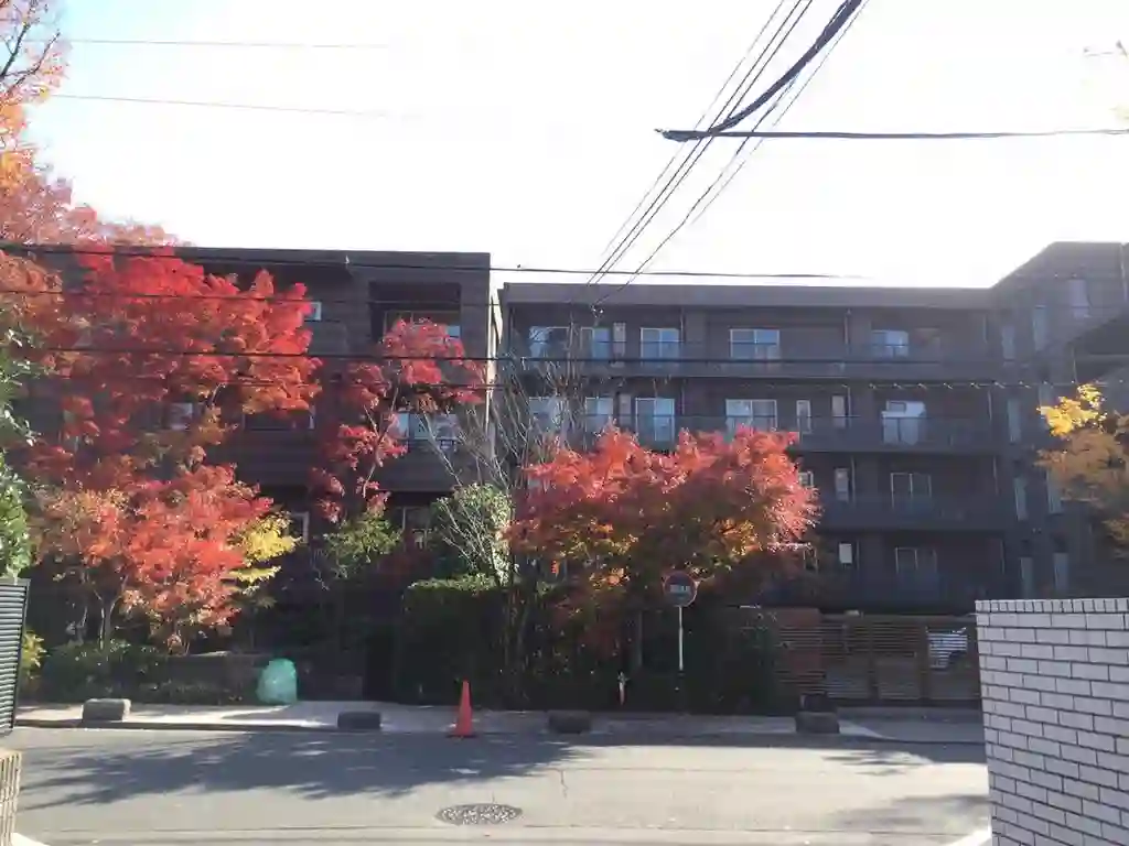 パークコート二子玉川弐番館 外観